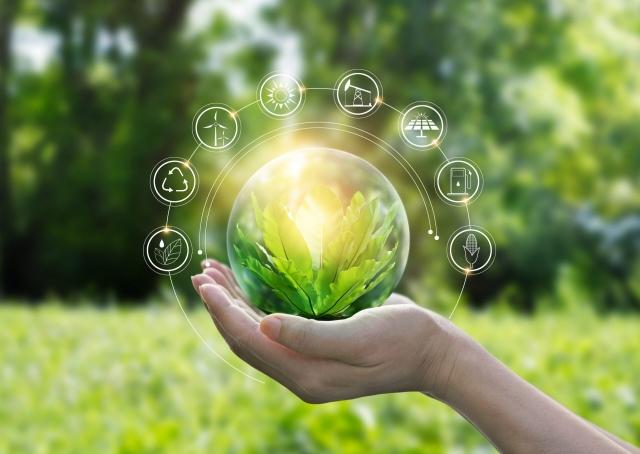 Sustainability in the Digital Era: Tech Boosts Green Goals